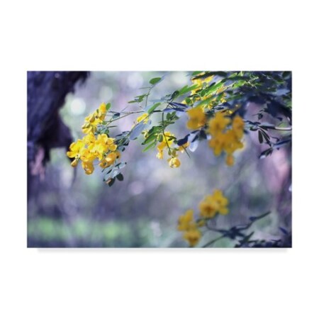 Trademark Fine Art Incredi 'Yellow In Her Garden Hanging' Canvas Art, 30x47 ALI35933-C3047GG